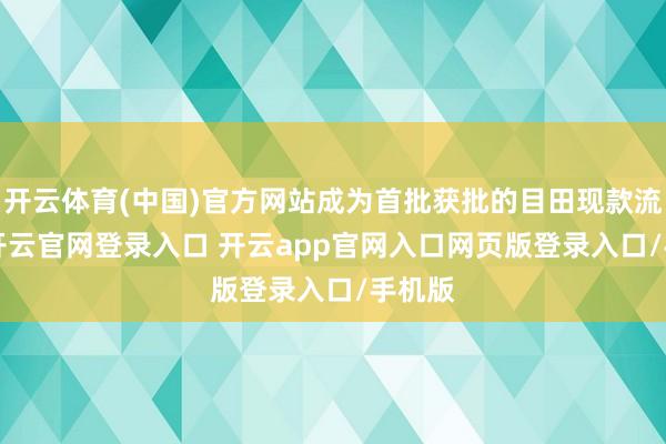 开云体育(中国)官方网站成为首批获批的目田现款流ETF-开云官网登录入口 开云app官网入口网页版登录入口/手机版