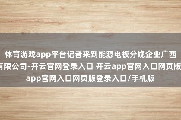 体育游戏app平台记者来到能源电板分娩企业广西宁福新能源科技有限公司-开云官网登录入口 开云app官网入口网页版登录入口/手机版