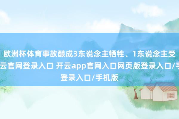 欧洲杯体育事故酿成3东说念主牺牲、1东说念主受伤-开云官网登录入口 开云app官网入口网页版登录入口/手机版