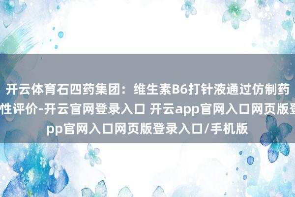 开云体育石四药集团:维生素B6打针液通过仿制药质料和疗效一致性评价-开云官网登录入口 开云app官网入口网页版登录入口/手机版