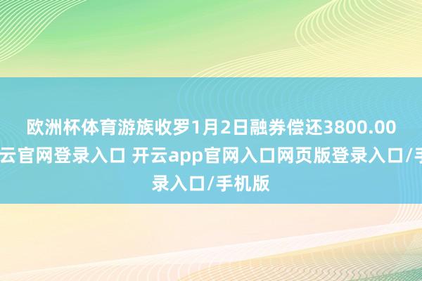 欧洲杯体育游族收罗1月2日融券偿还3800.00股-开云官网登录入口 开云app官网入口网页版登录入口/手机版