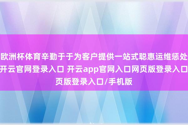 欧洲杯体育辛勤于于为客户提供一站式聪惠运维惩处有打算-开云官网登录入口 开云app官网入口网页版登录入口/手机版